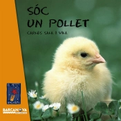 Soc Un Pollet