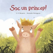 Soc Un Princep