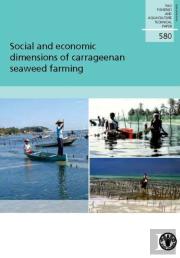 Social And Economic Dimensions Of Carrageenan Seaweed Farming