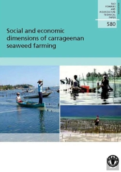 Bertrand.pt - Social And Economic Dimensions Of Carrageenan Seaweed Farming