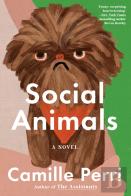 Social Animals