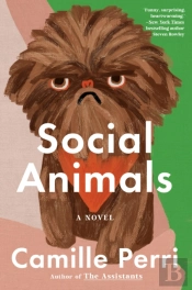Social Animals