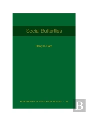 Social Butterflies