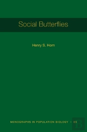Social Butterflies