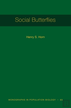 Bertrand.pt - Social Butterflies
