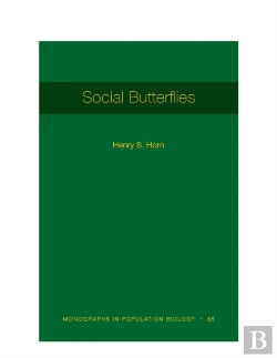 Bertrand.pt - Social Butterflies