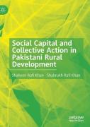 Social Capital And Collective Action In Pakistani Rural Development