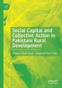 Social Capital And Collective Action In Pakistani Rural Development