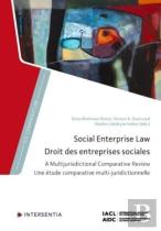 Social Enterprise Law