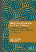 Social Entrepreneurship And Grand Challenges