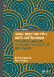 Social Entrepreneurship And Grand Challenges