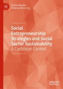 Social Entrepreneurship Strategies And Social Sector Sustainability