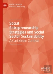 Social Entrepreneurship Strategies And Social Sector Sustainability