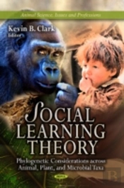 Social Learning Theory