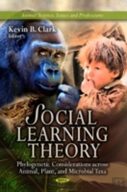 Bertrand.pt - Social Learning Theory