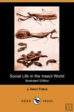 Bertrand.pt - Social Life In The Insect World (Illustrated Edition) (Dodo Press)