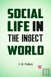 Social Life In The Insect World