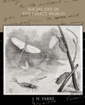 Social Life In The Insect World