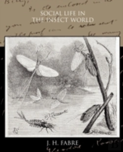 Bertrand.pt - Social Life In The Insect World