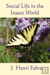 Social Life In The Insect World
