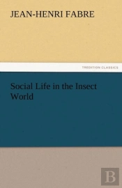 Social Life In The Insect World