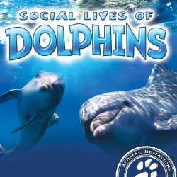 Bertrand.pt - Social Lives Of Dolphins