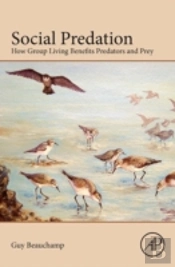 Social Predation
