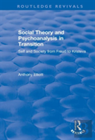 Social Theory And Psychoanalysis In Transition