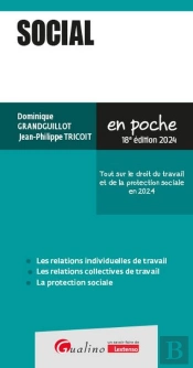 Social : Tout Sur Le Droit Du Travail Et De La Protection Sociale En 2024 (18e Édition)