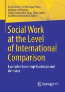 Social Work At The Level Of International Comparison