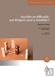 Sociétés En Difficulté : Qui Désigner Pour Y Remédier ? (2e Édition)
