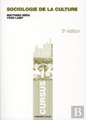 Sociologie De La Culture (3e Édition)