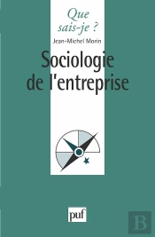 Sociologie De L'Entreprise