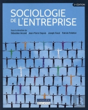 Sociologie De L'Entreprise