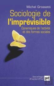 Sociologie De L'Imprévisible : Dynamiques De L'Activité Et Des Formes Sociales