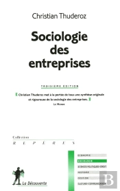 Sociologie Des Entreprises (3e Édition)