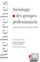 Sociologie Des Groupes Professionnels ; Acquis Récents Et Nouveaux Défis