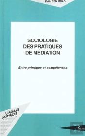 Sociologie Des Pratiques De Médiation : Entre Principes Et Conséquences