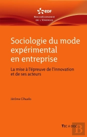 Sociologie Du Mode Expérimental En Entreprise : La Mise À L'Épreuve De L'Innovation Et De Ses Acteurs