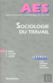 Sociologie Du Travail