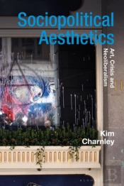 Sociopolitical Aesthetics