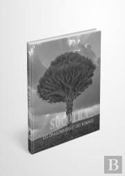 Socotra : Des Dragonniers Et Des Hommes