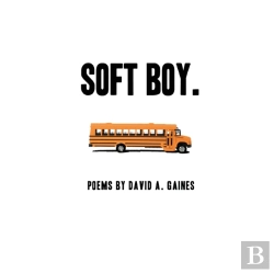 Bertrand.pt - Soft Boy.