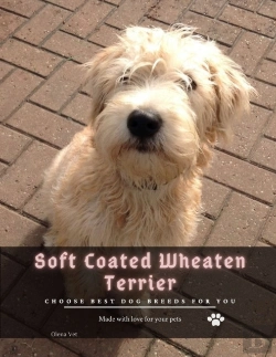 Bertrand.pt - Soft Coated Wheaten Terrier