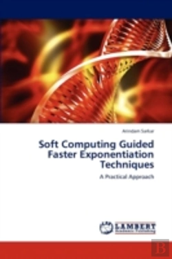 Bertrand.pt - Soft Computing Guided Faster Exponentiation Techniques