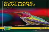 Software Developer
