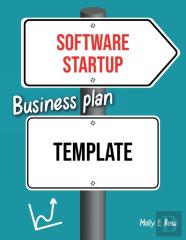 Software Startup Business Plan Template