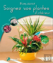 Soignez Vos Plantes D Interieur