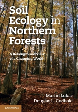 Bertrand.pt - Soil Ecology In Northern Forests