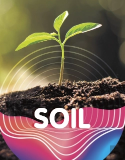 Bertrand.pt - Soil